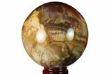Colorful Petrified Wood Sphere - Madagascar #163366-1